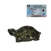 Natural Pyrite Tortoise (Kachhua) | Certified Pyrite Crystal Tortoise for Wealth, Prosperity, Good Luck & Positive Energy | Feng Shui & Vastu Turtle for Home, Office & Business Decor