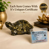 Natural Pyrite Tortoise (Kachhua) | Certified Pyrite Crystal Tortoise for Wealth, Prosperity, Good Luck & Positive Energy | Feng Shui & Vastu Turtle for Home, Office & Business Decor