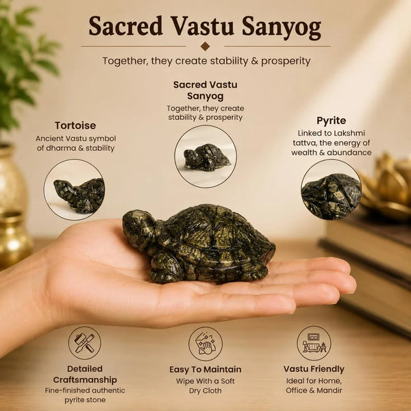 Natural Pyrite Tortoise (Kachhua) | Certified Pyrite Crystal Tortoise for Wealth, Prosperity, Good Luck & Positive Energy | Feng Shui & Vastu Turtle for Home, Office & Business Decor
